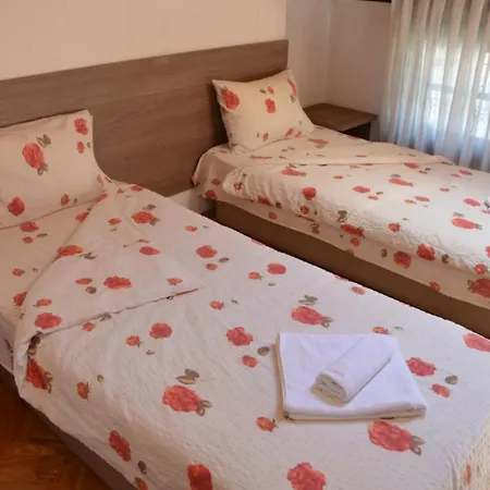 Delfin * Ohrid