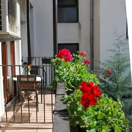 Delfin Guest house *