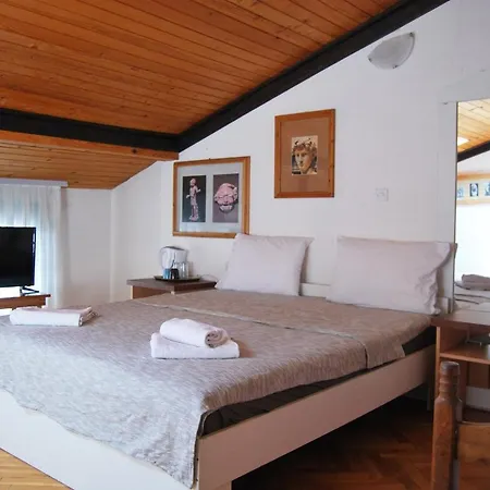 Delfin Ohrid