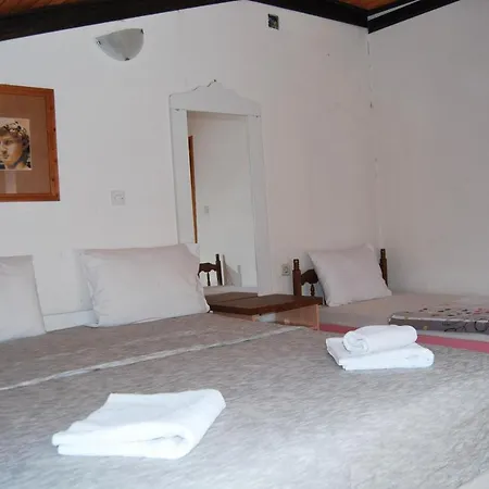 Delfin Guest house