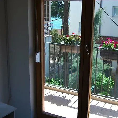 Delfin Guest house
